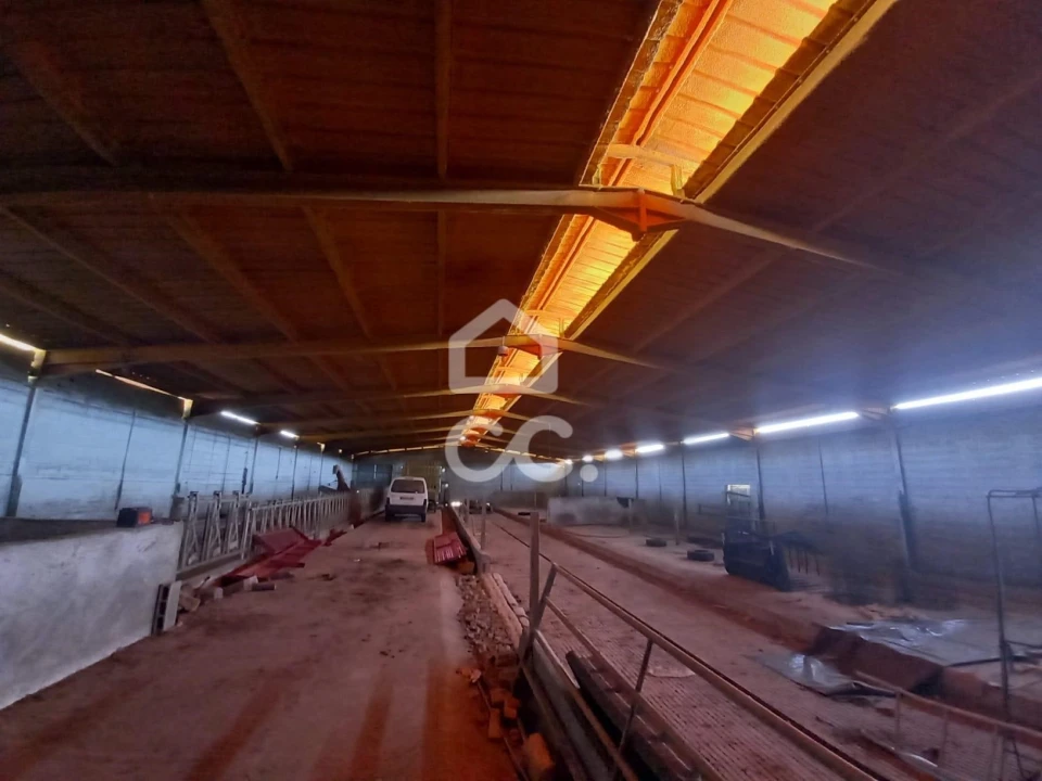 Armazém para Venda em Serapicos Foto 16