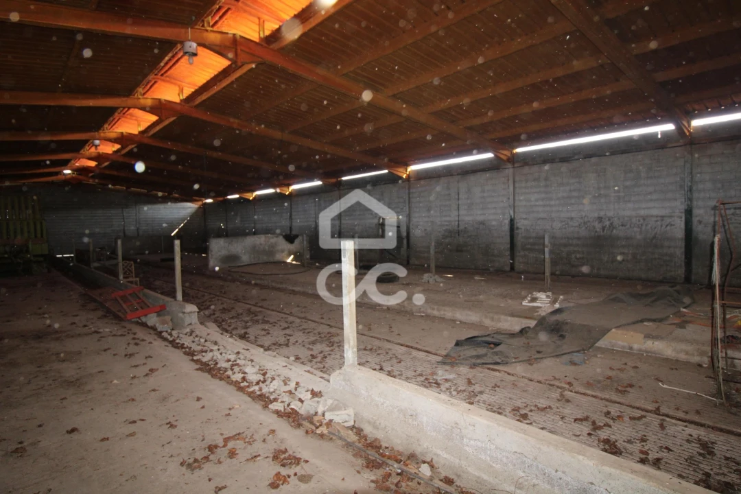 Armazém para Venda em Serapicos Foto 29