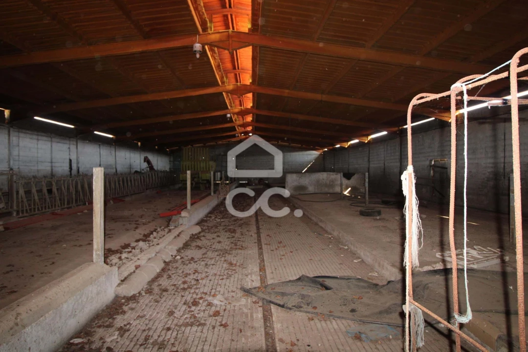 Armazém para Venda em Serapicos Foto 37