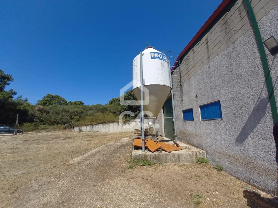 Armazém para Venda em Serapicos Foto 6
