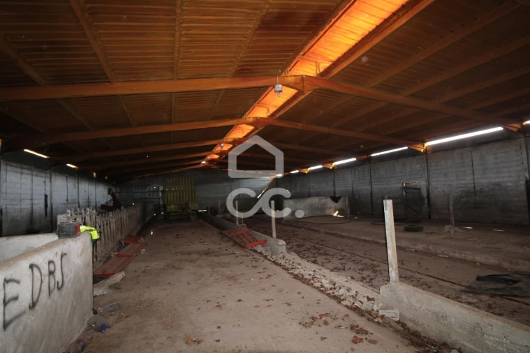 Armazém para Venda em Serapicos Foto 27