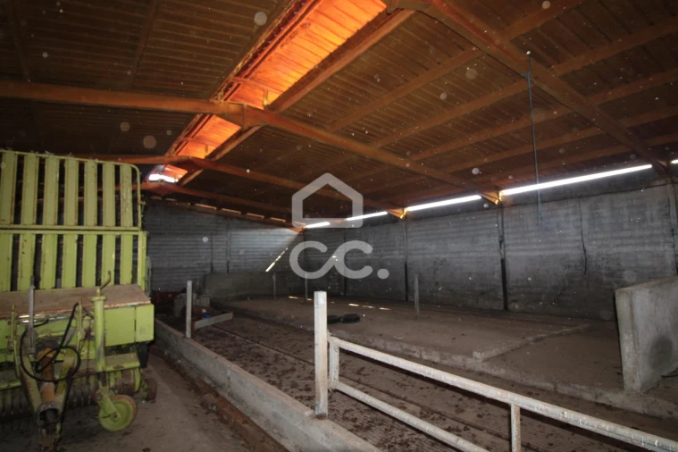 Armazém para Venda em Serapicos Foto 32