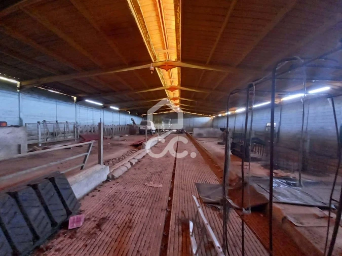 Armazém para Venda em Serapicos Foto 9