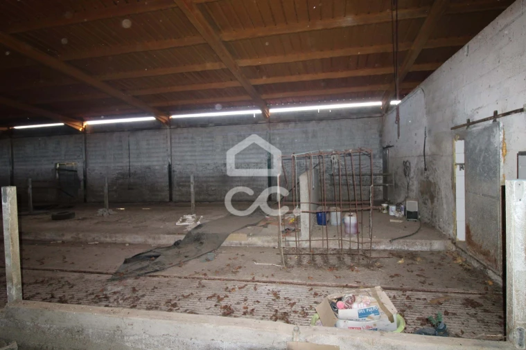 Armazém para Venda em Serapicos Foto 28