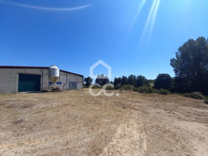 Armazém para Venda em Serapicos Foto 2