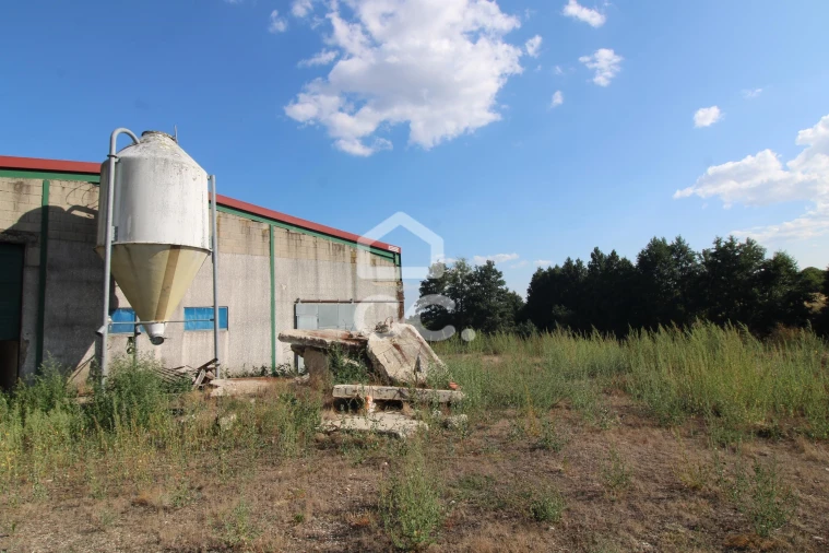 Armazém para Venda em Serapicos Foto 22