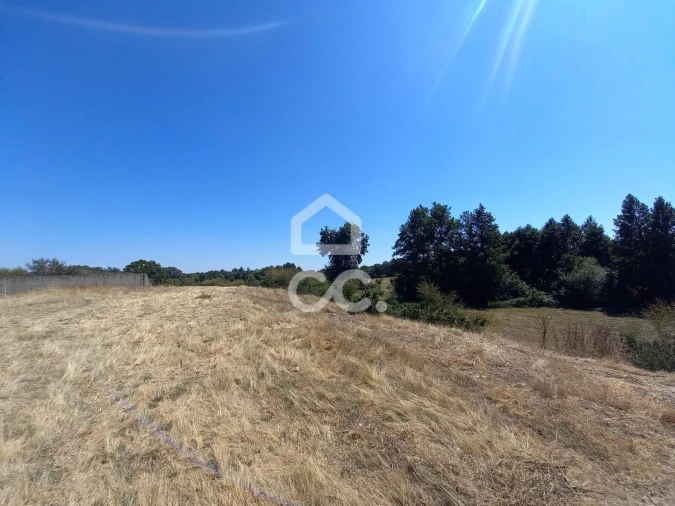 Armazém para Venda em Serapicos Foto 14