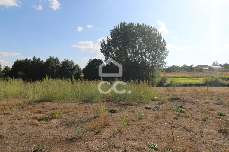 Armazém para Venda em Serapicos Foto 20