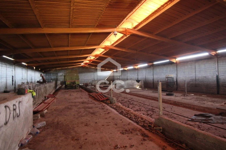 Armazém para Venda em Serapicos Foto 26