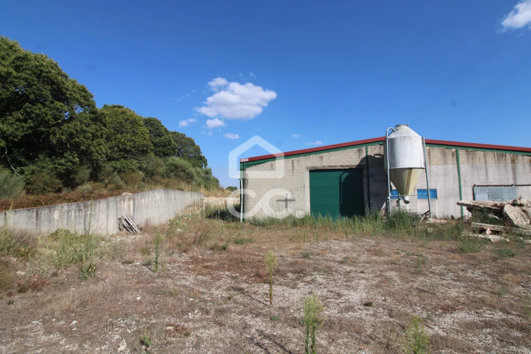 Armazém para Venda em Serapicos Foto 19