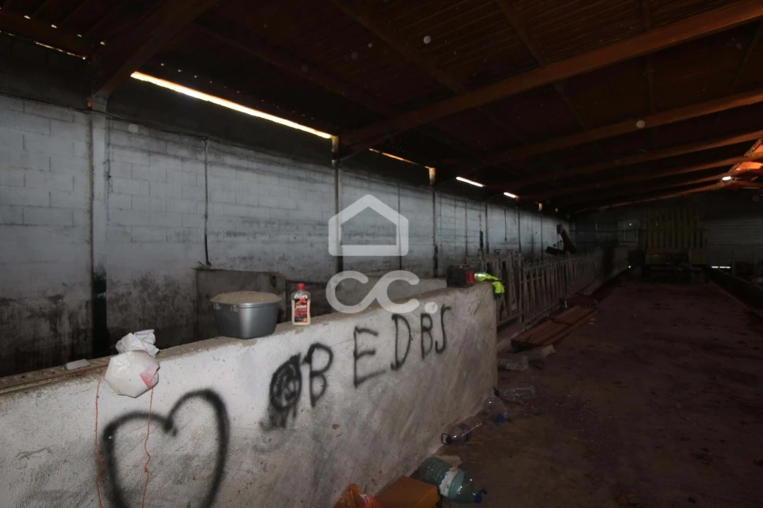 Armazém para Venda em Serapicos Foto 30