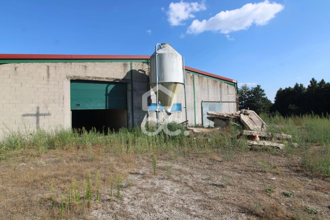 Armazém para Venda em Serapicos Foto 43