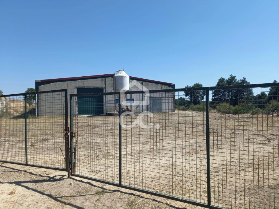 Armazém para Venda em Serapicos Foto 1