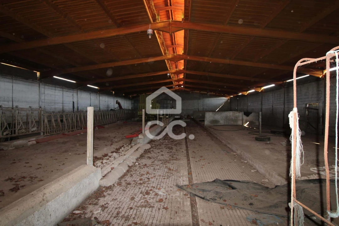 Armazém para Venda em Serapicos Foto 36