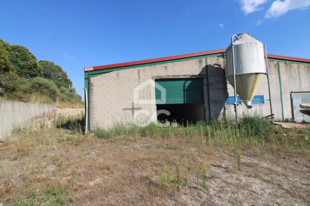 Armazém para Venda em Serapicos Foto 44