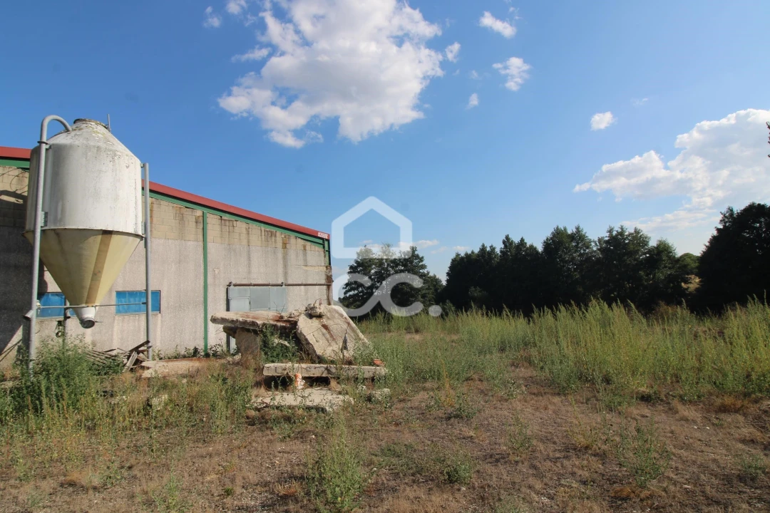 Armazém para Venda em Serapicos Foto 23