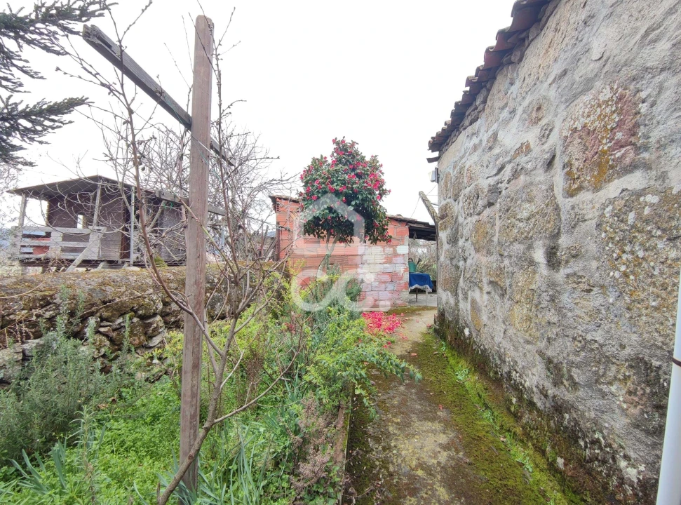 Moradia T3 para Venda em Santa Maria Maior Foto 31