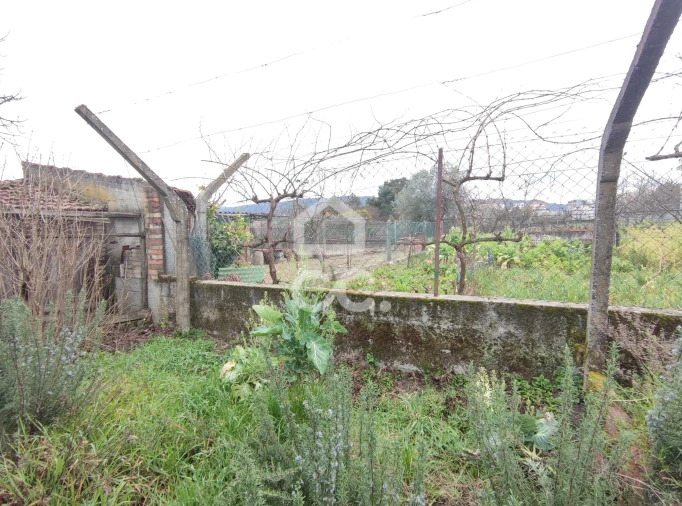 Moradia T3 para Venda em Santa Maria Maior Foto 36