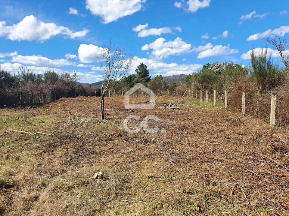 Terreno para Venda em Santa Cruz/Trindade e Sanjurge Foto 23