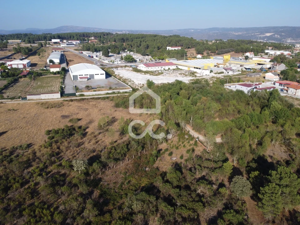 Terreno para Venda em Santa Cruz/Trindade e Sanjurge Foto 13
