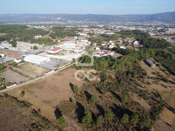 Terreno para Venda em Santa Cruz/Trindade e Sanjurge Foto 17