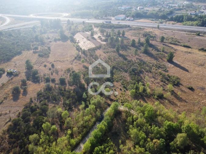 Terreno para Venda em Santa Cruz/Trindade e Sanjurge Foto 14