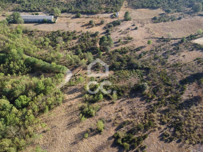 Terreno para Venda em Santa Cruz/Trindade e Sanjurge Foto 11