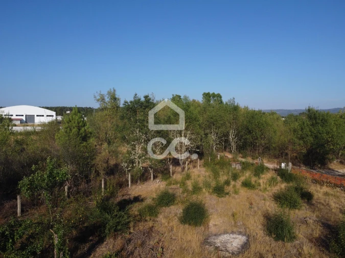 Terreno para Venda em Santa Cruz/Trindade e Sanjurge Foto 8