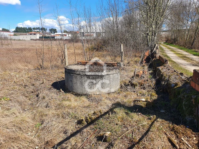 Terreno para Venda em Santa Cruz/Trindade e Sanjurge Foto 4
