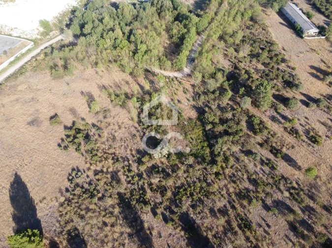 Terreno para Venda em Santa Cruz/Trindade e Sanjurge Foto 15