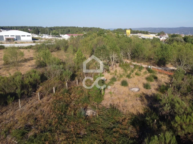 Terreno para Venda em Santa Cruz/Trindade e Sanjurge Foto 7