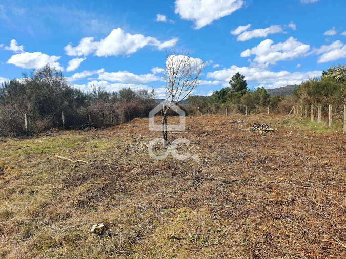 Terreno para Venda em Santa Cruz/Trindade e Sanjurge Foto 25