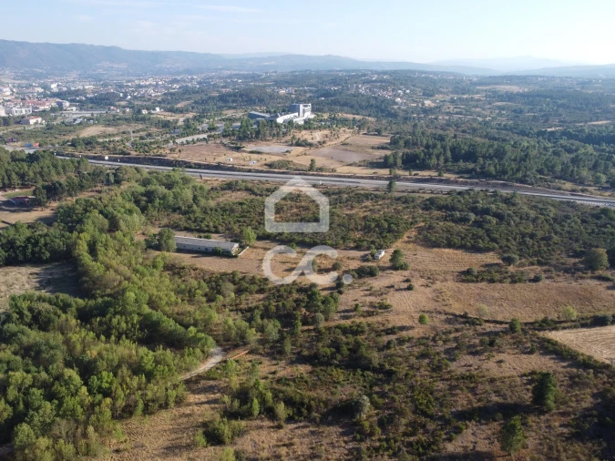 Terreno para Venda em Santa Cruz/Trindade e Sanjurge Foto 16