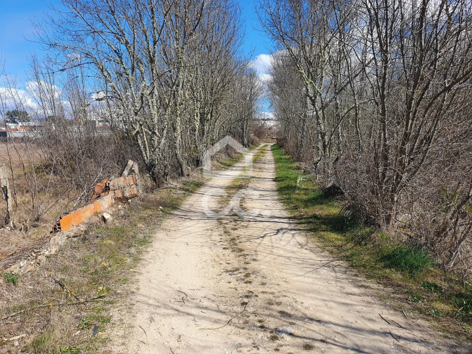 Terreno para Venda em Santa Cruz/Trindade e Sanjurge Foto 26