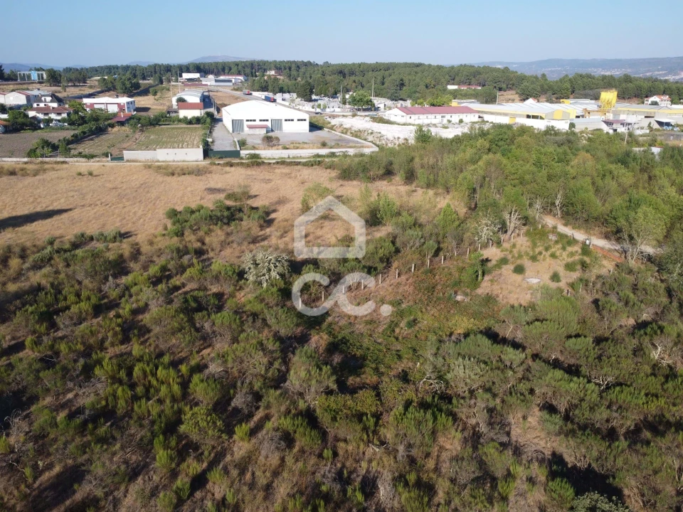 Terreno para Venda em Santa Cruz/Trindade e Sanjurge Foto 10