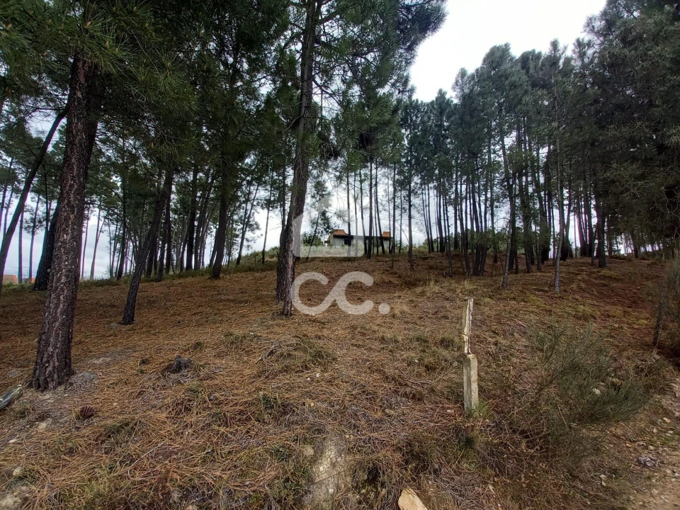 Terreno para Venda em São Pedro de Agostem Foto 24