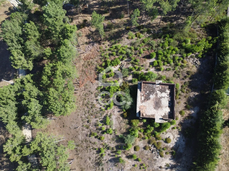 Terreno para Venda em São Pedro de Agostem Foto 31