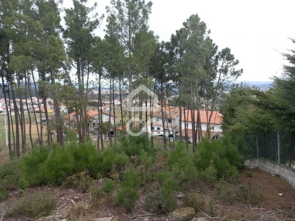 Terreno para Venda em São Pedro de Agostem Foto 12