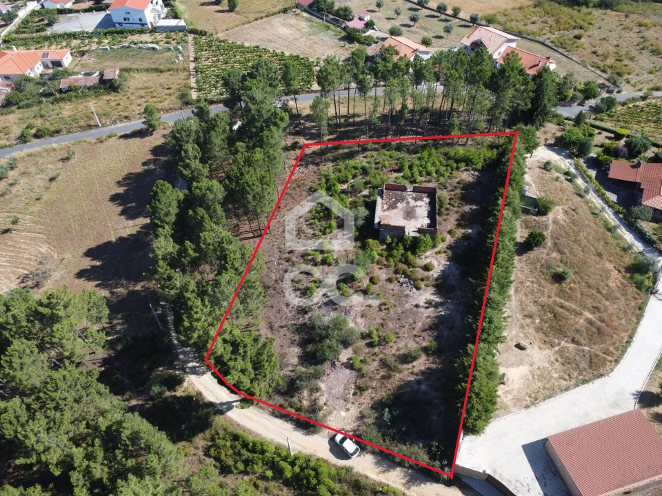 Terreno para Venda em São Pedro de Agostem Foto 1