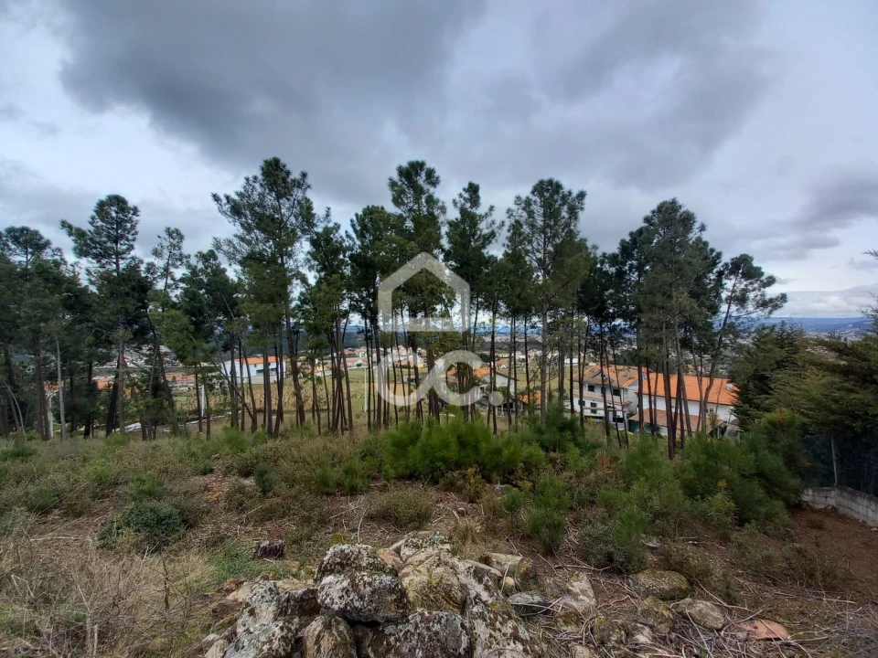 Terreno para Venda em São Pedro de Agostem Foto 13