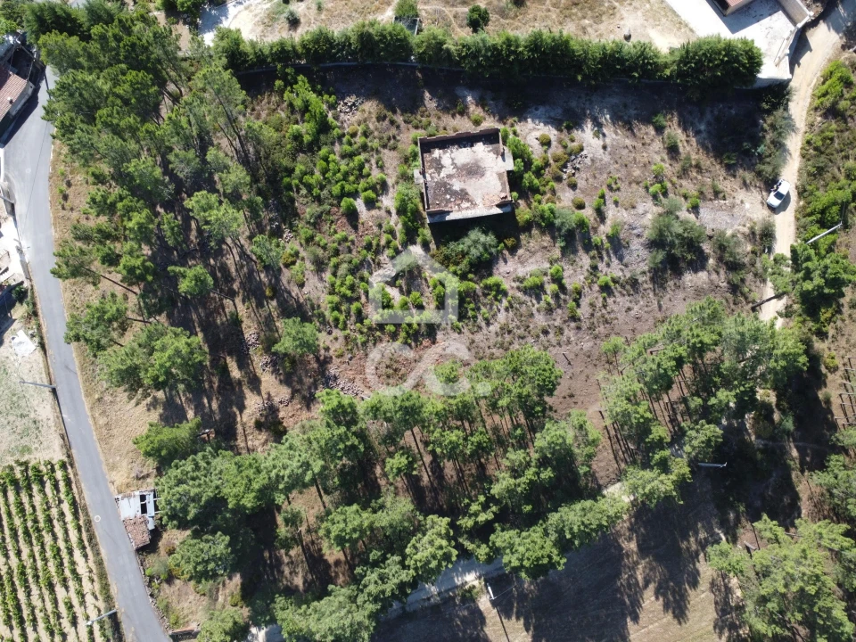 Terreno para Venda em São Pedro de Agostem Foto 30