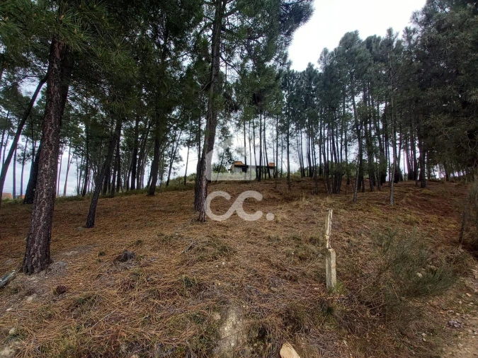 Terreno para Venda em São Pedro de Agostem Foto 24