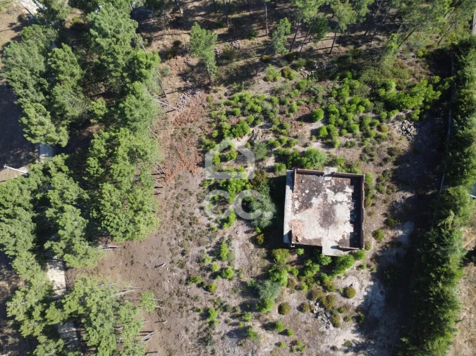 Terreno para Venda em São Pedro de Agostem Foto 31