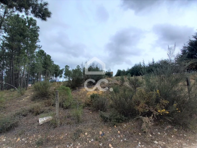 Terreno para Venda em São Pedro de Agostem Foto 6