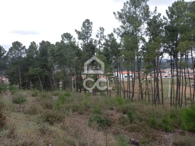 Terreno para Venda em São Pedro de Agostem Foto 21