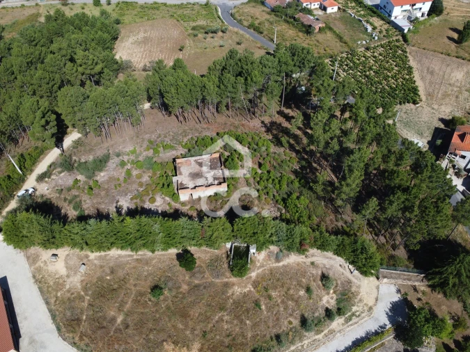 Terreno para Venda em São Pedro de Agostem Foto 27