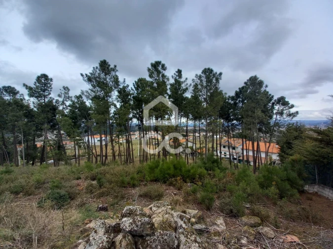 Terreno para Venda em São Pedro de Agostem Foto 13
