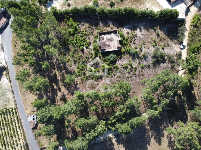 Terreno para Venda em São Pedro de Agostem Foto 30
