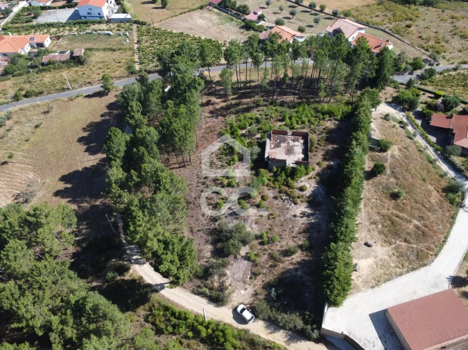 Terreno para Venda em São Pedro de Agostem Foto 26