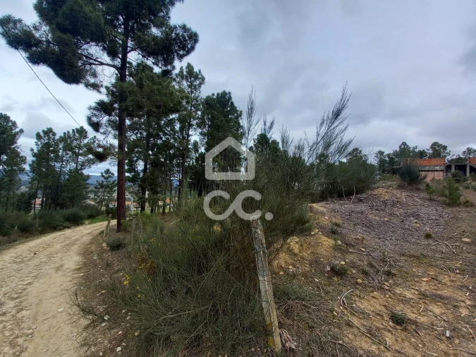 Terreno para Venda em São Pedro de Agostem Foto 18